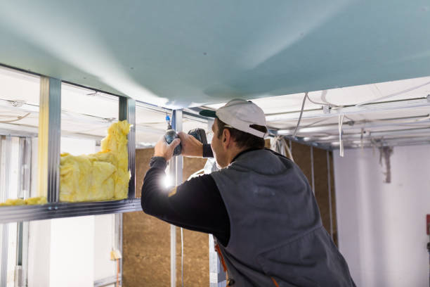 Best Commercial Insulation Services  in Prairie Grove, AR